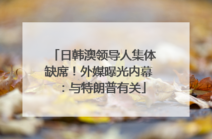 日韩澳领导人集体缺席！外媒曝光内幕：与特朗普有关
